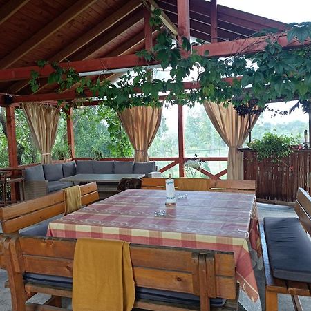 Narcisz B&B Corund  Luaran gambar
