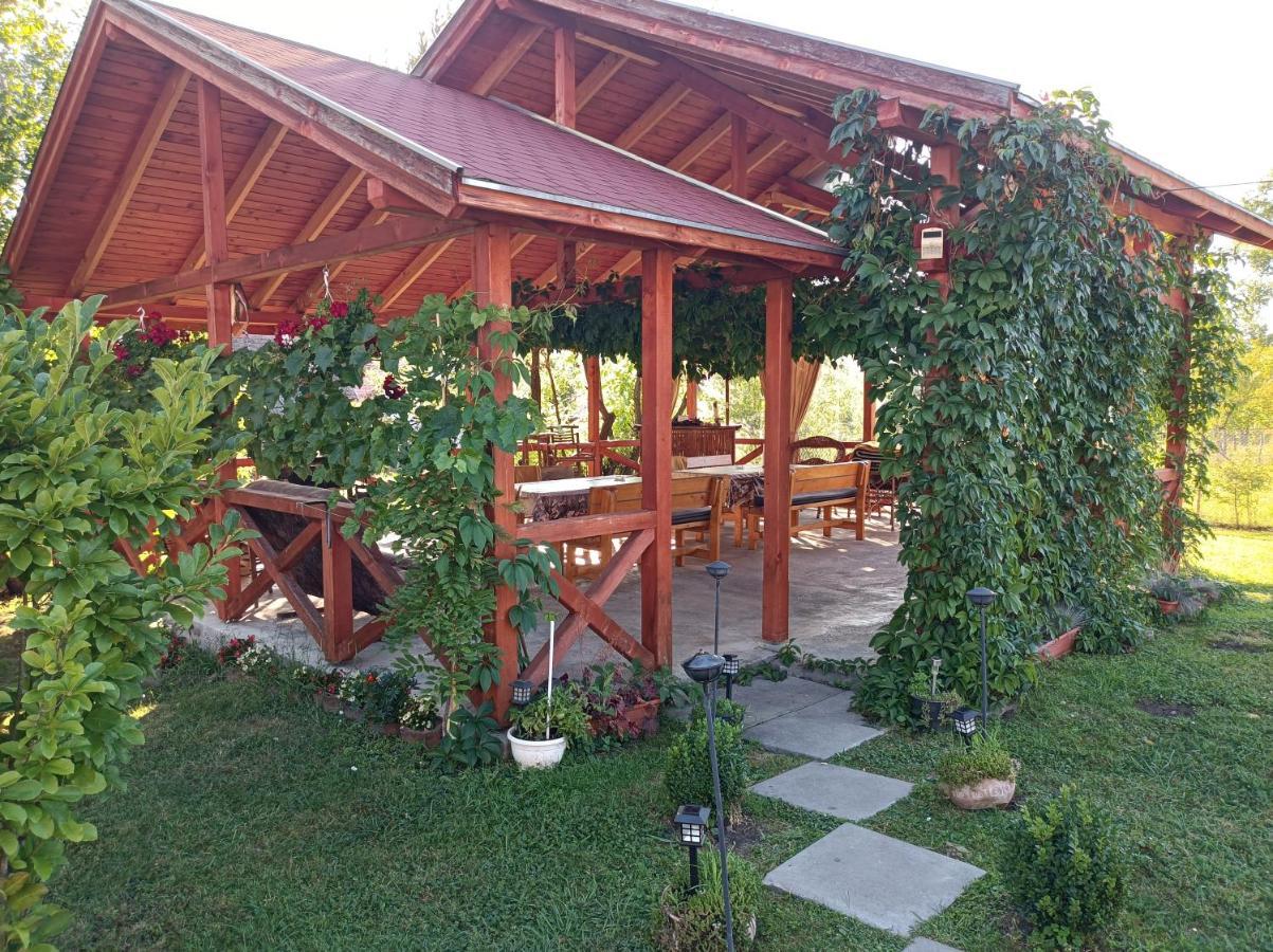 Narcisz B&B Corund  Luaran gambar
