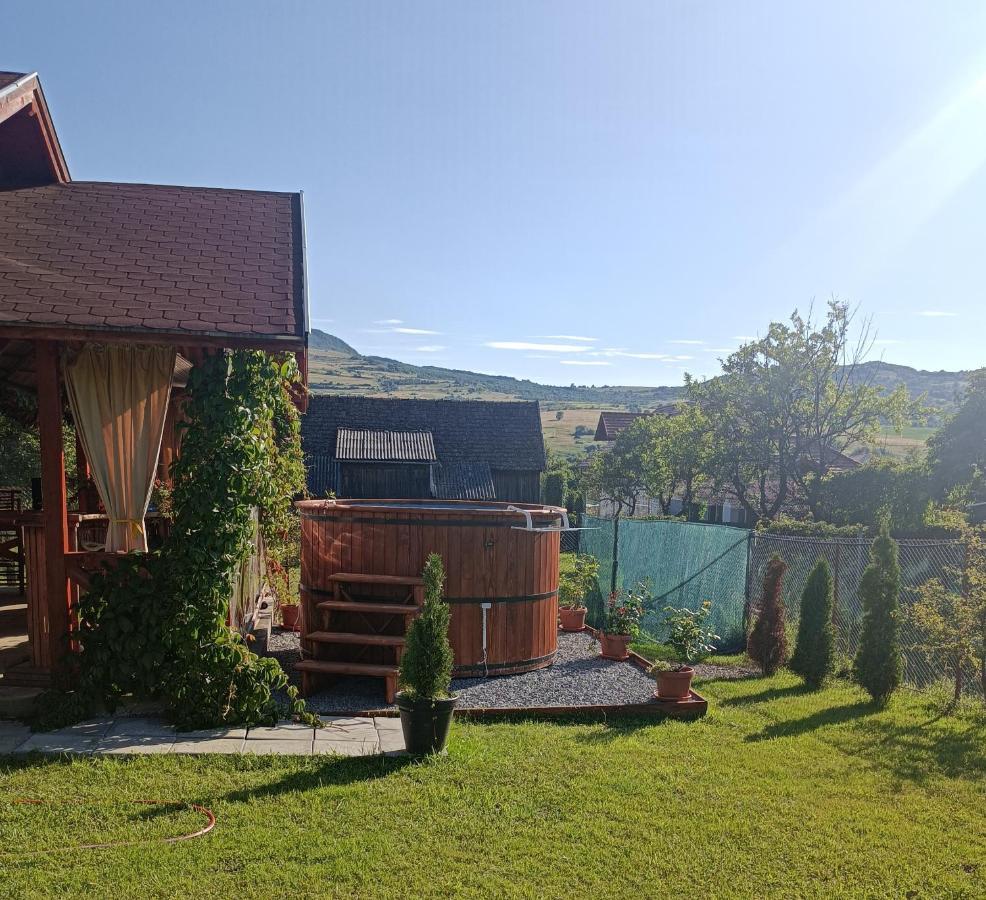 Narcisz B&B Corund  Luaran gambar